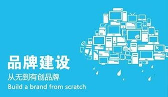 北京企業網絡推廣與信息咨詢服務選擇指南